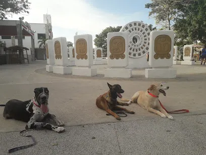 Good Dog Tulum
