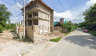 OBRA PINO SUAREZ