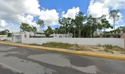 Técnica 42