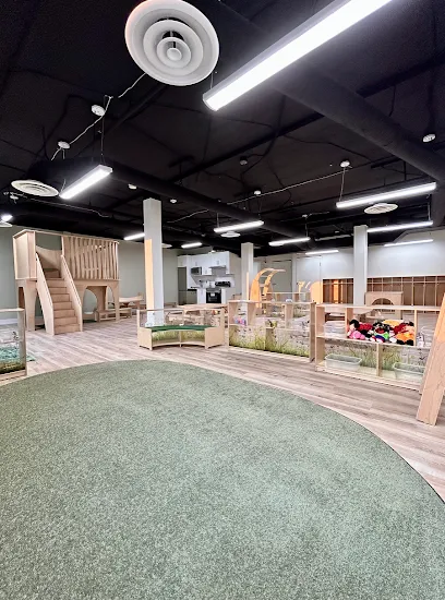 The Learning Circle Childcare Centre - Tulum