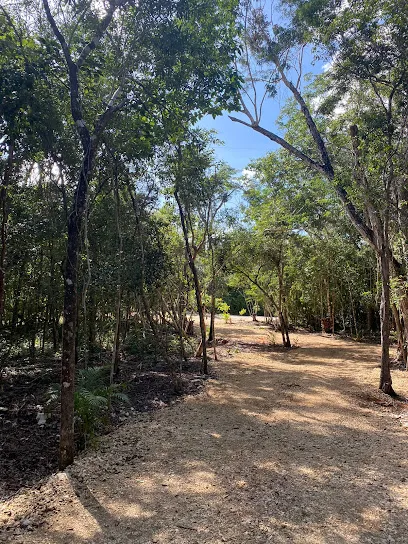 Mansalva Jungle Living