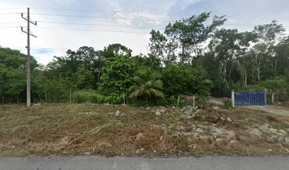 Mi terreno alebrijes