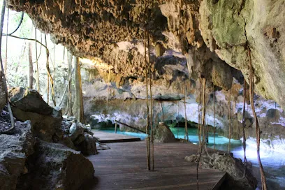 Selvadentro