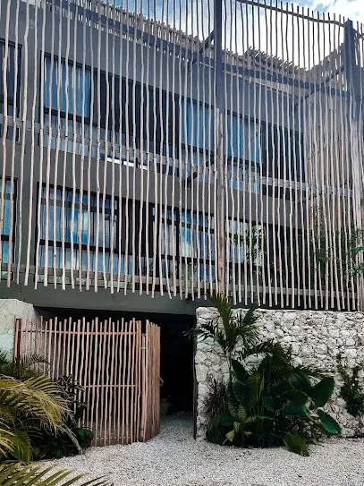 Vida Tulum