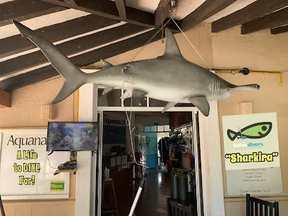 Bahia Divers