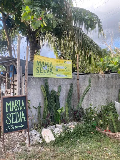Maria Selva