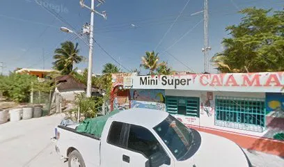 Purificadora de agua y hielo “MASHI”