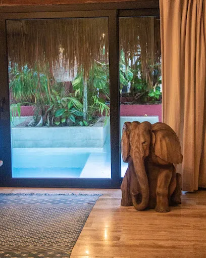 Bejuco