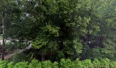 Casa Joy