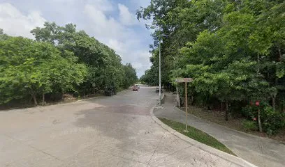 Condo