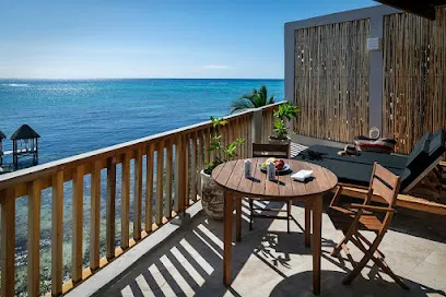Hotel Alea Tulum