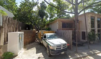 Insania
