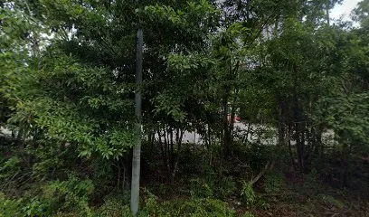 Jaguar Hut Tulum