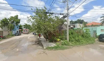 La Casa Verde Tulum
