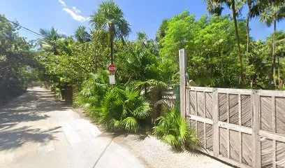 Mohave Jungle Rooms