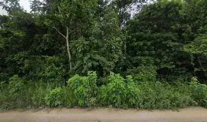 Pandoria