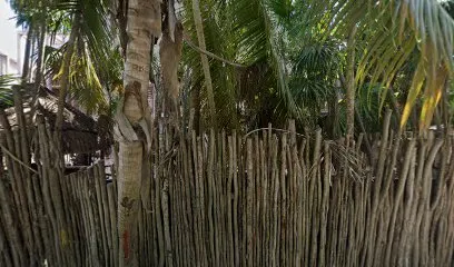 Scorpios Tulum