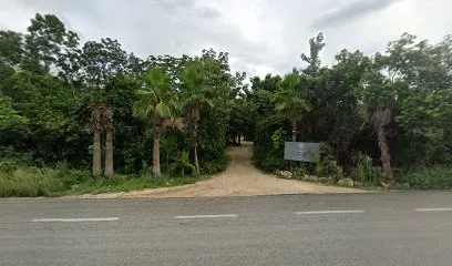 Solera Tulum