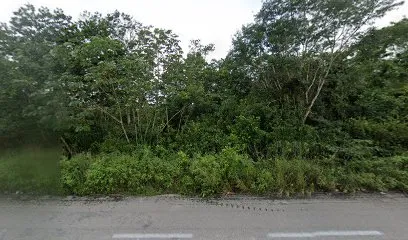 Ek balam