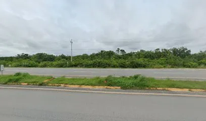 Retorno Olimpico