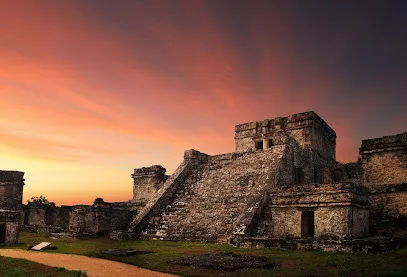TAR Tulum Adventure and Rental. Scooter Rental
