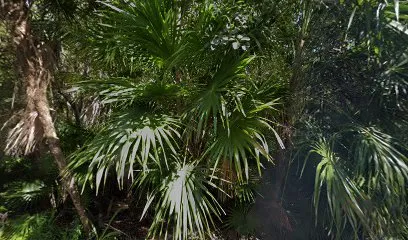 Ashram.Tulum
